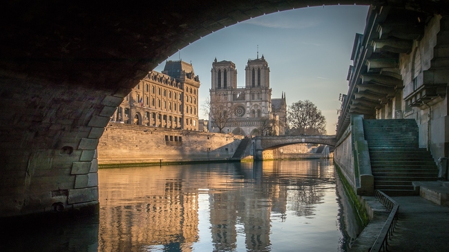 Notre-Dame Restoration: The Greening of the Cathedral Square