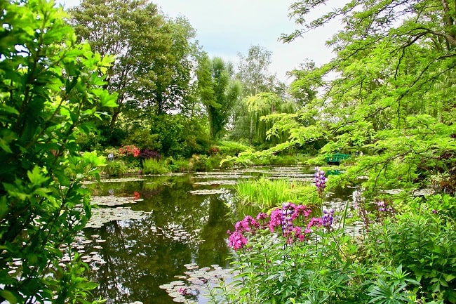 The water lilies pond