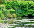 Bridge over the pond