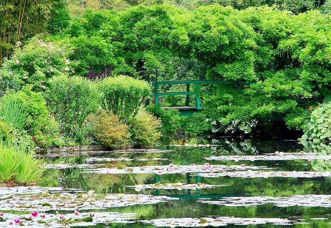 Bridge over the pond
