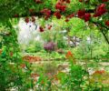 Garden surrounding the pond