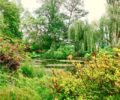 Vibrant colours of the greenary