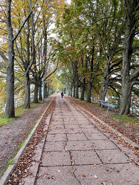 Allée aux Cygnes