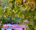 Bois de Vincennes / île de Bercy & île de Reuilly