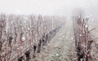 Letter from Paris: April 14, 2021 News Digest