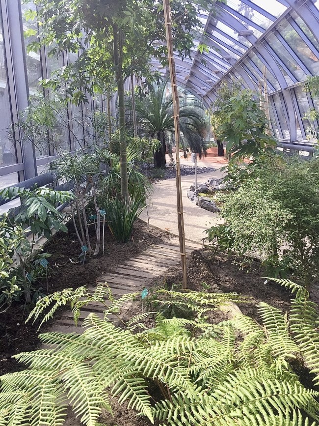 Tennis and Tropics: Roland Garros and the Auteuil Greenhouses
