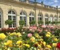 Jardin de Bagatelle