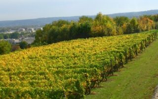 Day Trip: Taste the Countryside Just Outside Paris
