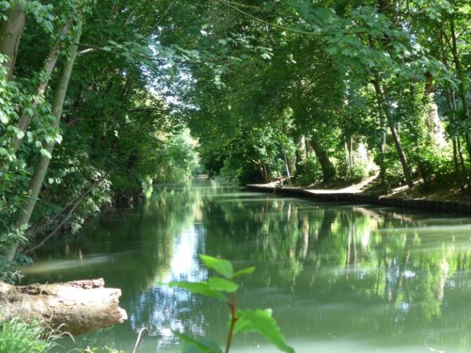 Discovering the Hidden Islands of Créteil