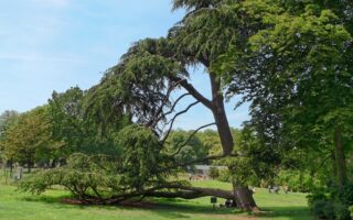 Parc Montsouris: Nature and Artifice in the 14th Arrondissement