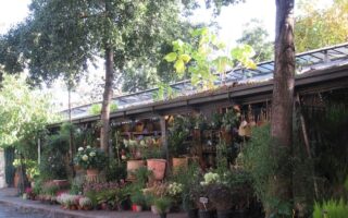 Flâneries in Paris: Explore the Cité Quarter