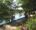 Chatou lanscape with water and trees