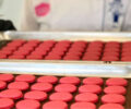 Macaron shells cooling down