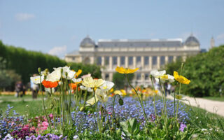 Flâneries in Paris: Explore the Jardin des Plantes and Environs