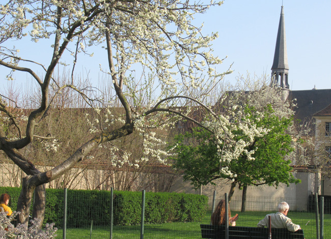 Jardin Cathérine Labouré