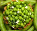Peas from Menu bien-être Clarins