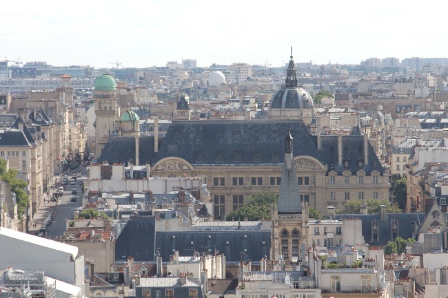 Student Food Insecurity in Paris: Are Food Banks a Last Resort?