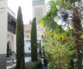 Paris Mosque from afar