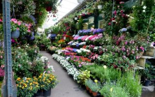 Letter from Paris: September 21, 2022 News Digest