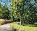 Jardin Proust in Illiers-Combra