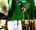 Thalie Fleurs bag