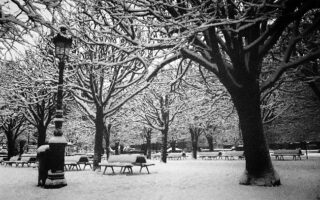 Poppy in Paris: The Best of Winter in the City