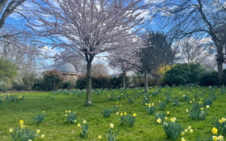 Letter from Paris: March 22, 2023 News Digest