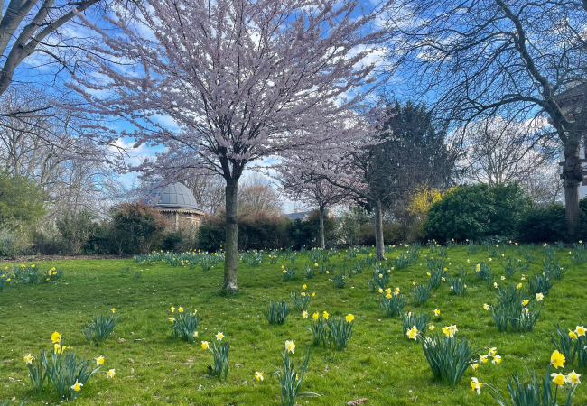 Letter from Paris: March 22, 2023 News Digest