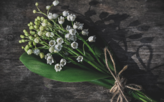 Letter from Paris: May 3, 2023 News Digest