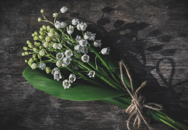 Letter from Paris: May 3, 2023 News Digest