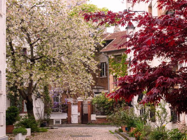 Paris Walks: Explore La Cité Florale in the 13th