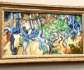 Tree Roots, Vincent Van Gogh, July 1890.