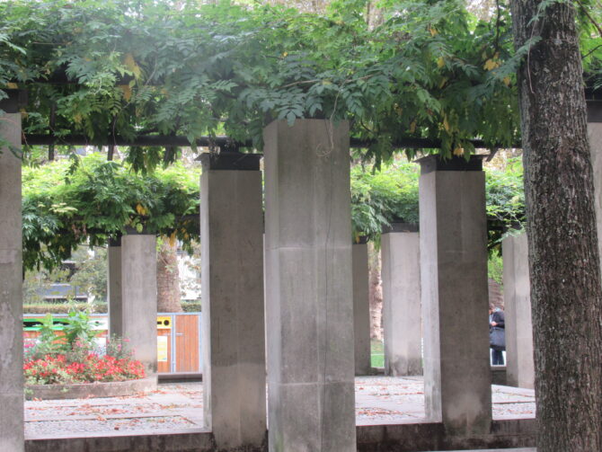 vines