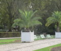 Parc Bercy