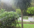 Parc Bercy