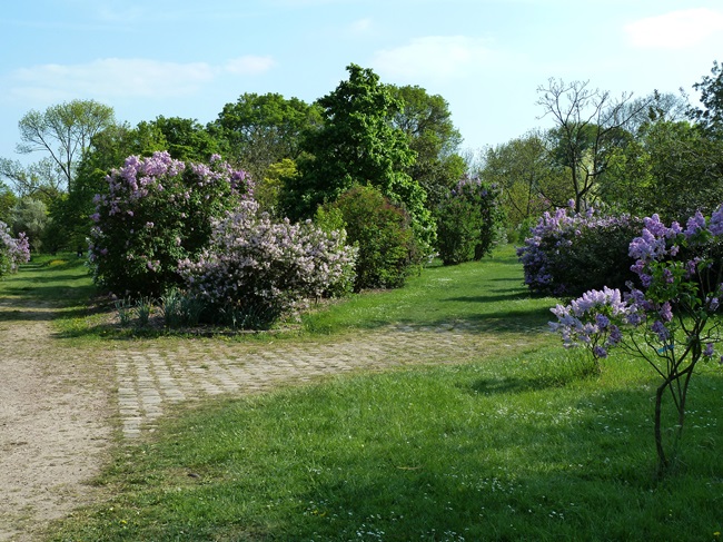 Explore the Arboretum de Paris