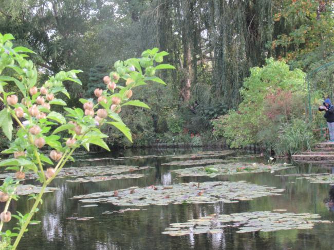 Flânerie in Claude Monet’s Giverny Gardens