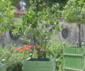 Tuileries Planter