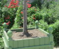 Tuileries Planter
