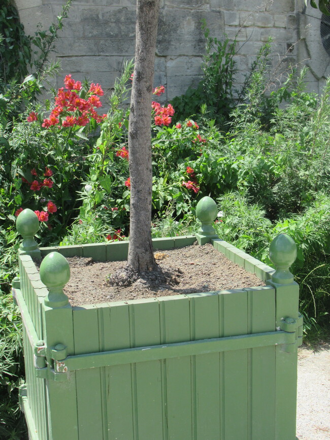 Tuileries Planter