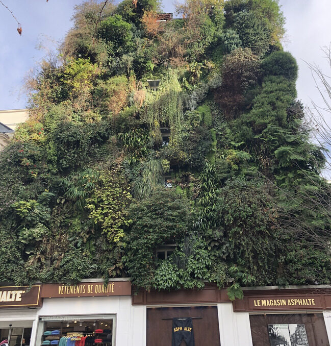 Sentier: A Hip Neighborhood in the 2nd Arrondissement