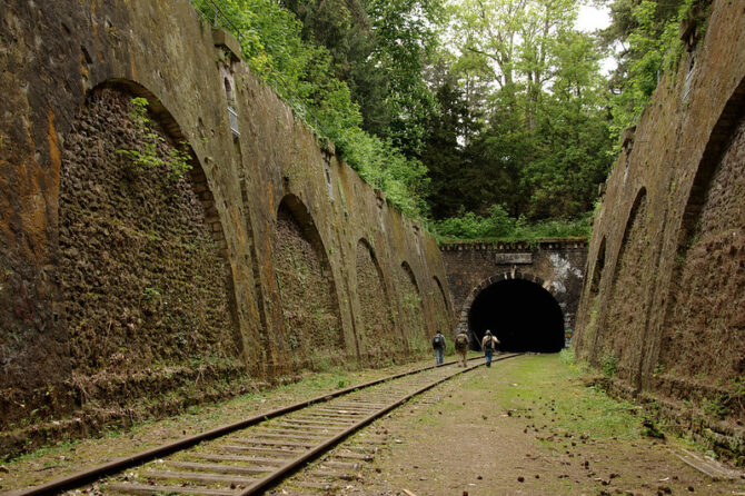 The Petite Ceinture: A 2025 Update