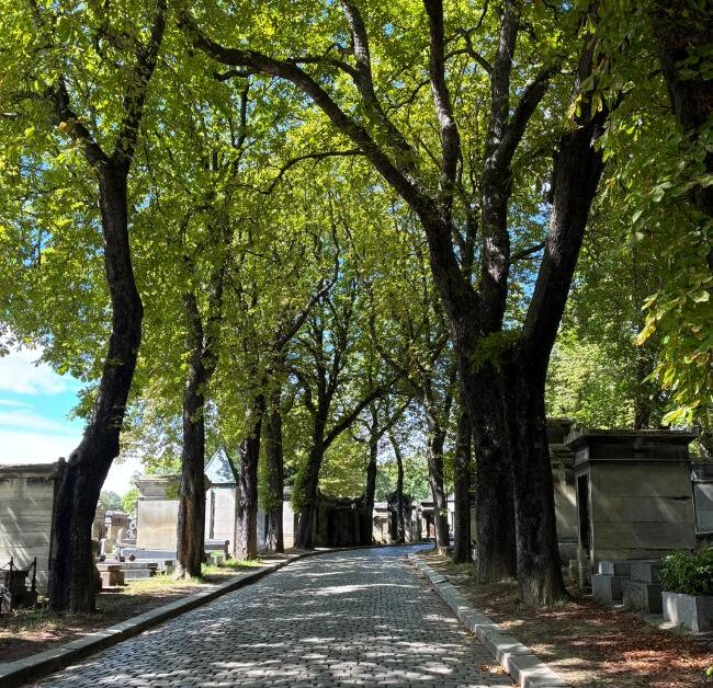 The Essential Guide to the 20th Arrondissement