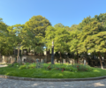 montmartre cemetery