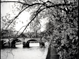 Timeless Paris: A Photographic Journey...