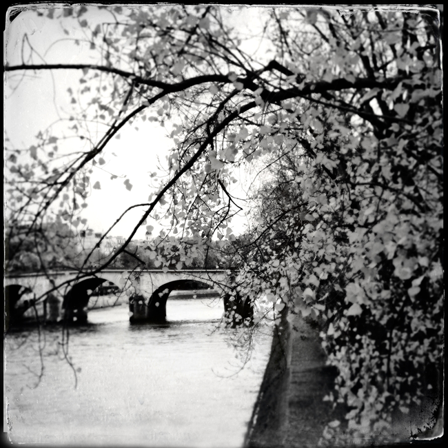 Timeless Paris: A Photographic Journey