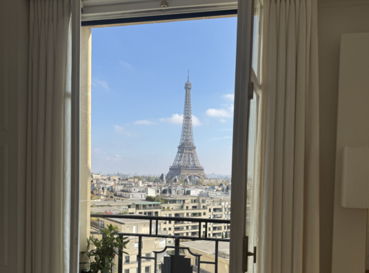 Behind the Parisian Dream: Understanding Monthly Ownership C...